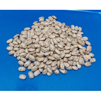 Haricots secs Pinto