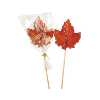 Suçon feuille d'érable-érable