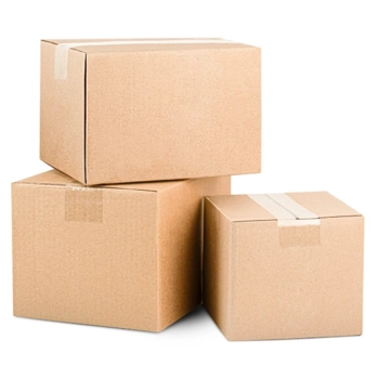 APPLESNAX - PURÉE DE POMMES ASEPTIQUE