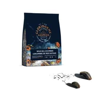 Concombre de mer sauvage du Québec