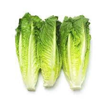 Cœur de laitue romaine