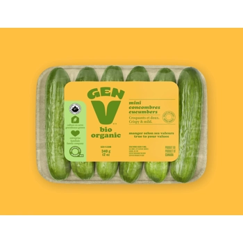 Mini concombres biologiques