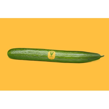 Concombre anglais biologique