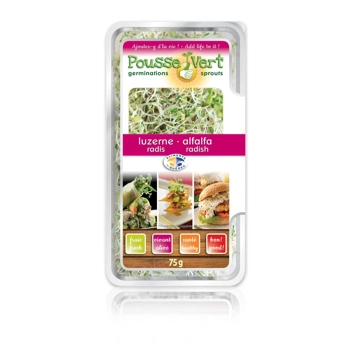Pousses de Luzerne-Radis