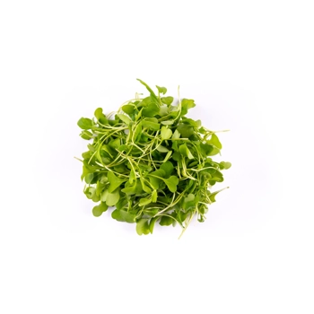 Mini Roquette