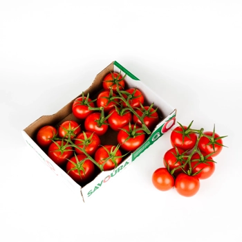 Saladio - Tomates Savoura