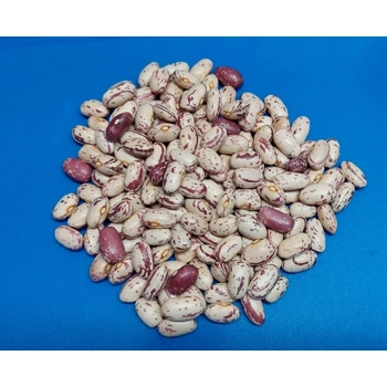 Haricots secs Cranberry