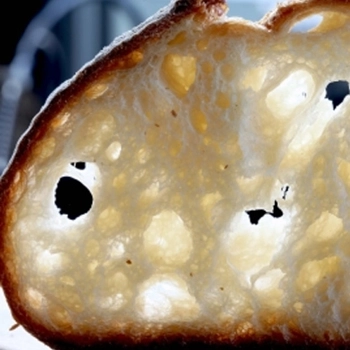 Farine Signature T65