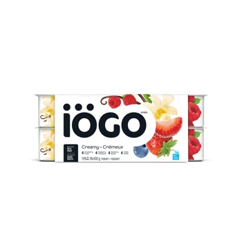 CREAMY STRAWBERRY/RASPBERRY/BLUEBERRY/VANILLA YOGURT