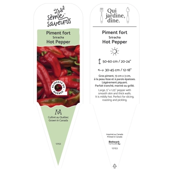 Siracha Pepper plant