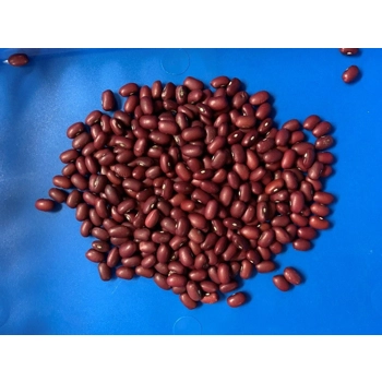 Haricots secs Petits Rouges