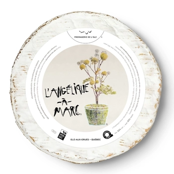 L'Angélique-À-Marc