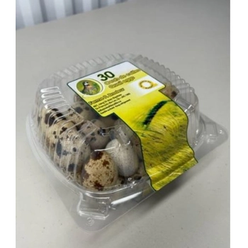 Oeuf de cailles frais