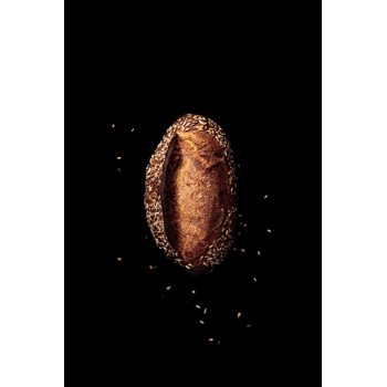 Miche intégral tournesol