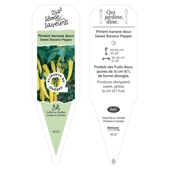 Plant de Piment Banane