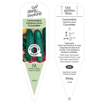Plant de Concombre Saladmore Bush
