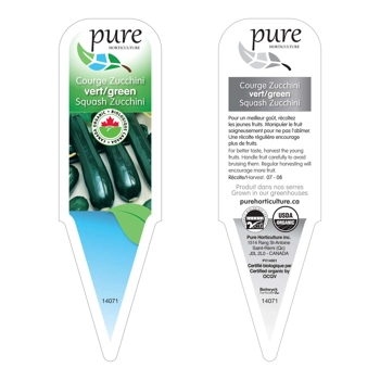 COURGETTE ZUCCHINI VERTE BIOLOGIQUE EN POT