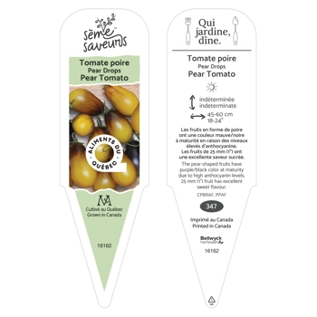 Plant de tomate indigo Pear Drops