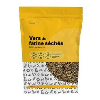 Vers de farine séchés