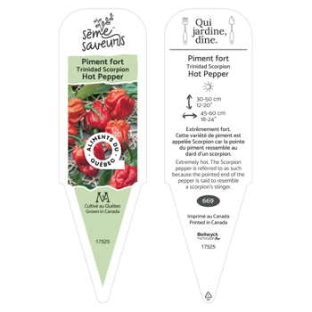 Plant de Piment Trinidad Scorpion