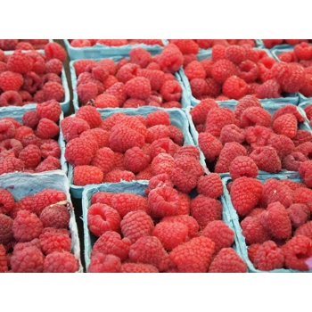 Framboises fraiches biologiques