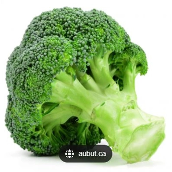 Brocoli grade 18